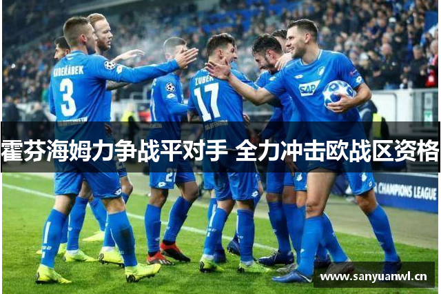 霍芬海姆力争战平对手 全力冲击欧战区资格