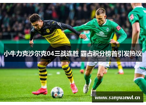 小牛力克沙尔克04三战连胜 霸占积分榜首引发热议