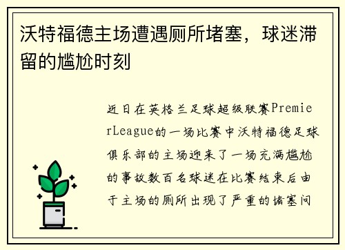 沃特福德主场遭遇厕所堵塞，球迷滞留的尴尬时刻