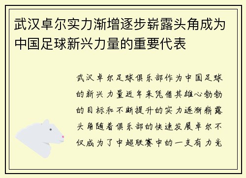 武汉卓尔实力渐增逐步崭露头角成为中国足球新兴力量的重要代表