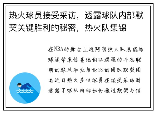 热火球员接受采访，透露球队内部默契关键胜利的秘密，热火队集锦