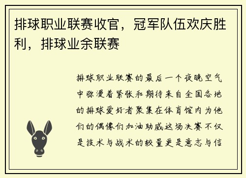 排球职业联赛收官，冠军队伍欢庆胜利，排球业余联赛
