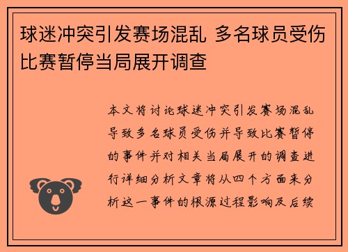 球迷冲突引发赛场混乱 多名球员受伤比赛暂停当局展开调查